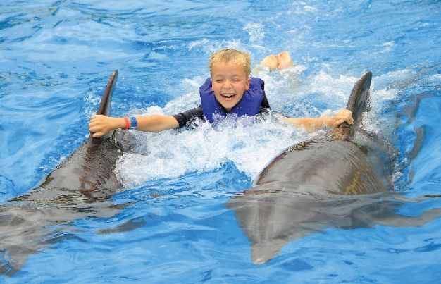 Fun dolphin facts for kids