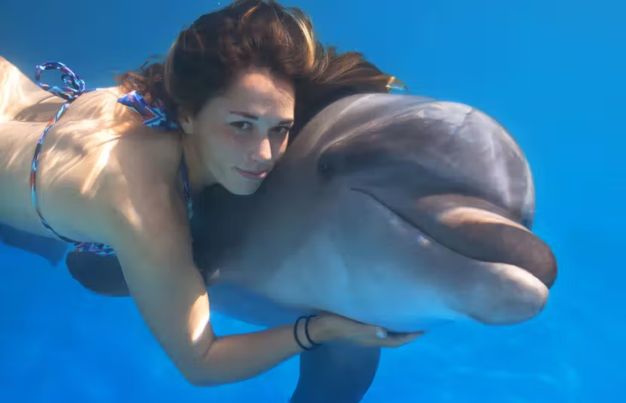 Dolphin intelligence