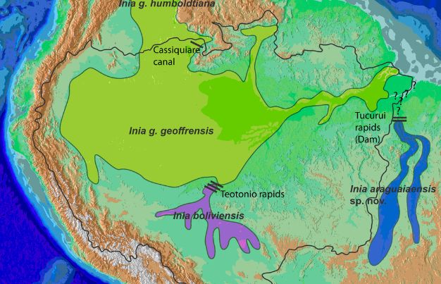 Map showing the distribution of pink dolphins